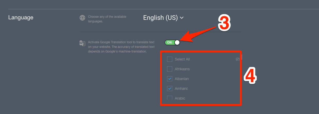 Googles Translation Tool 2